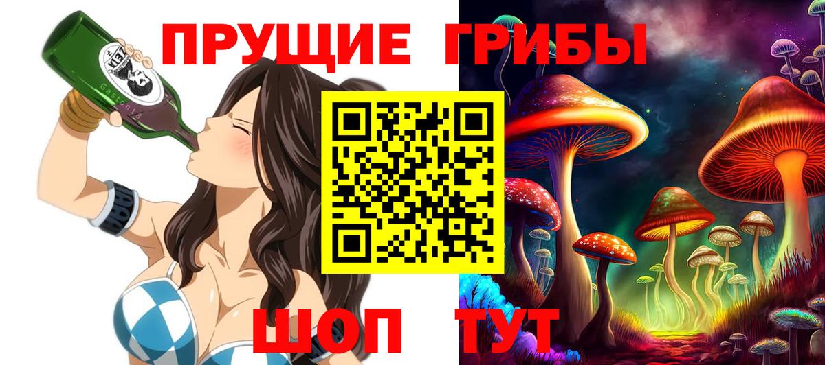 Псилоцибиновые грибы мицелий Добрянка