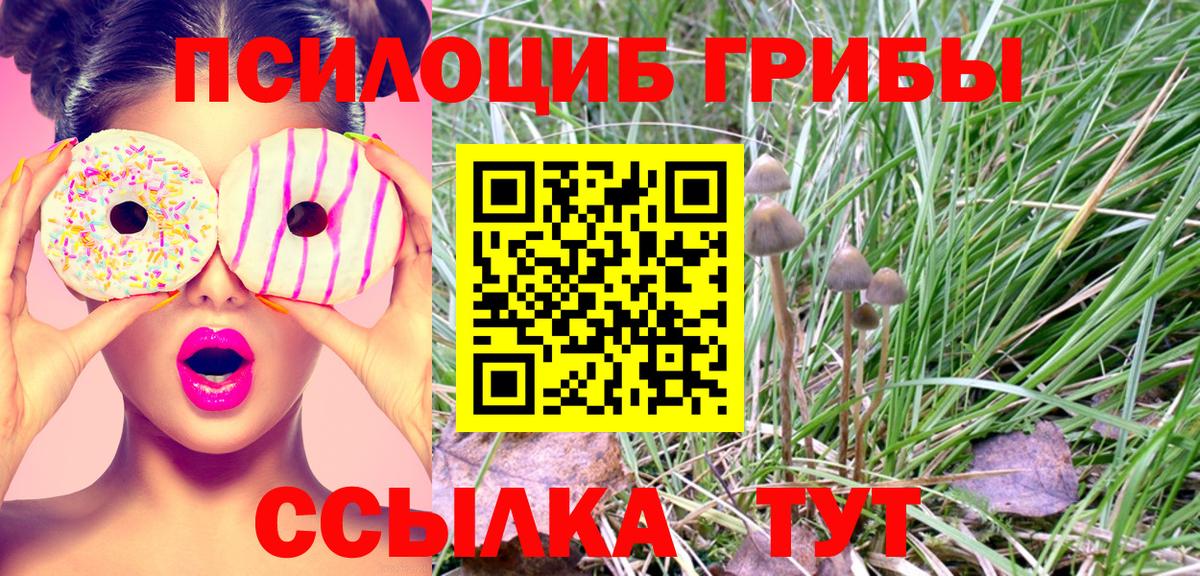 Добрянка  Галлюциногенные грибы прущие грибы  Псилоцибиновые грибы мухоморы  Вход с VPN 